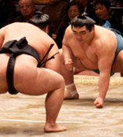 Sumo